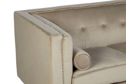 Felisa Upholstered Two Seater Velvet Sofa - NIXO Furniture.com