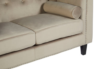 Felisa Upholstered Two Seater Velvet Sofa - NIXO Furniture.com