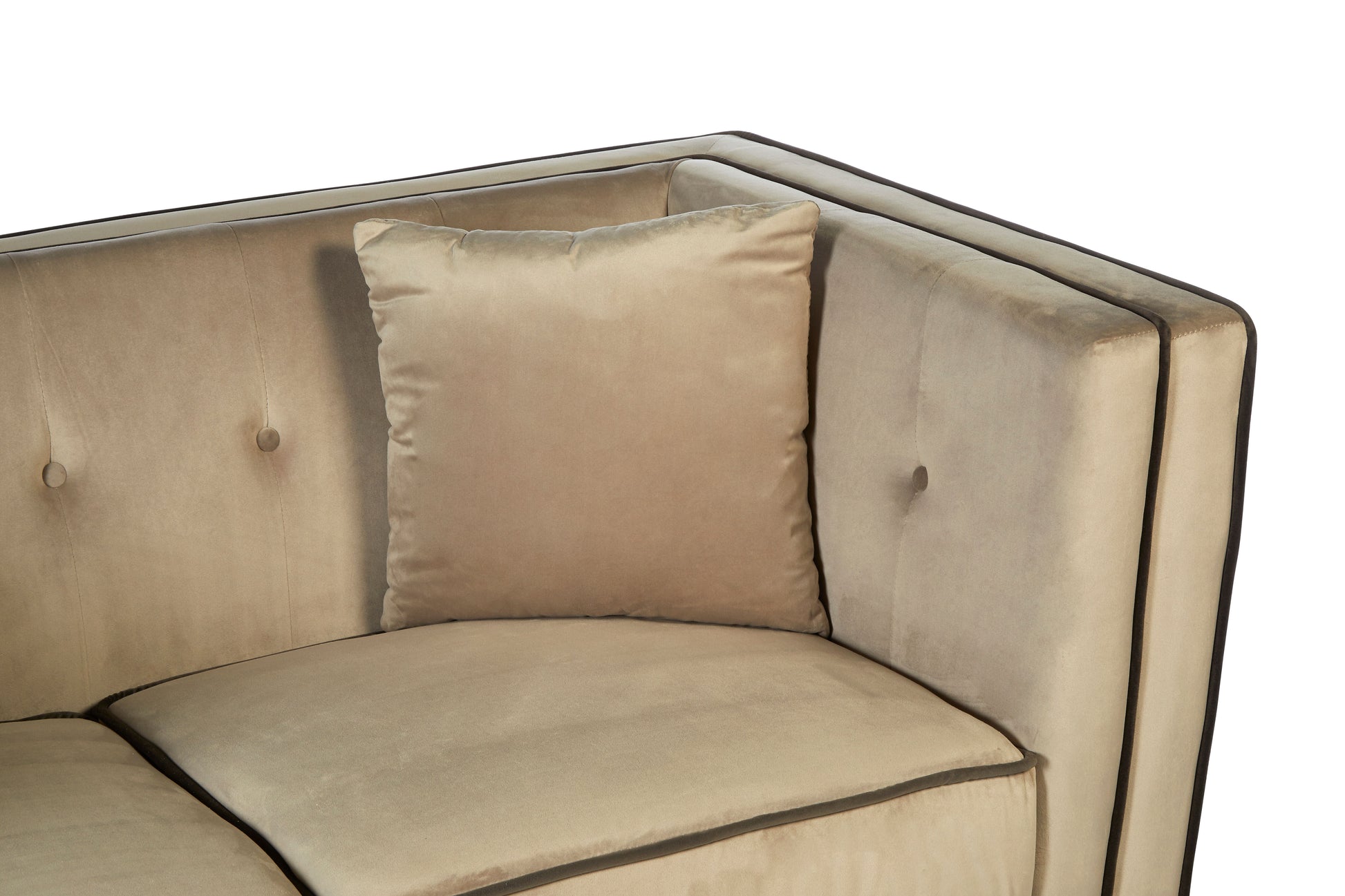 Ferris Upholstered Mink Velvet 2 Seat Sofa - NIXO Furniture.com