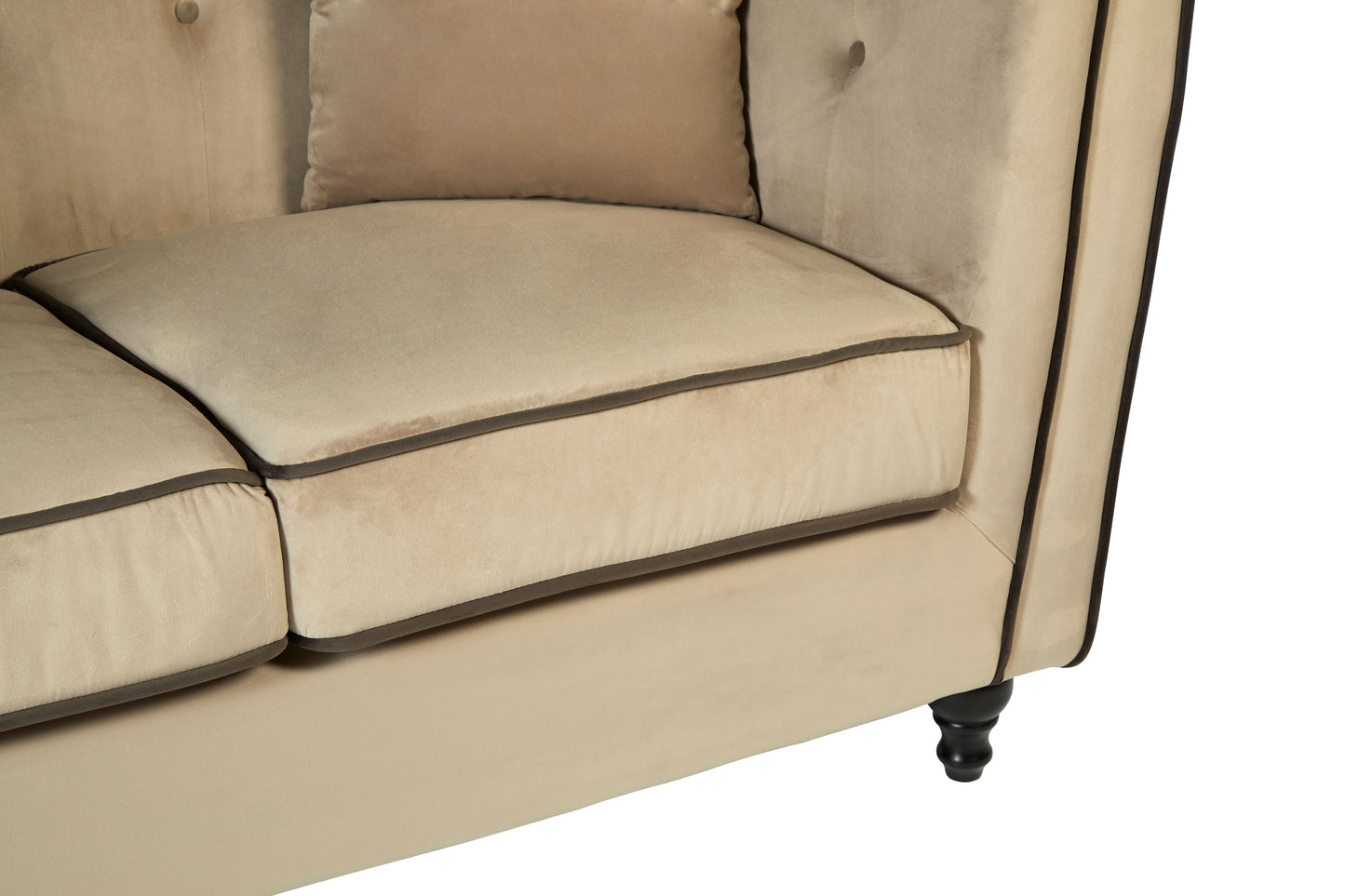 Ferris Upholstered Mink Velvet 2 Seat Sofa - NIXO Furniture.com