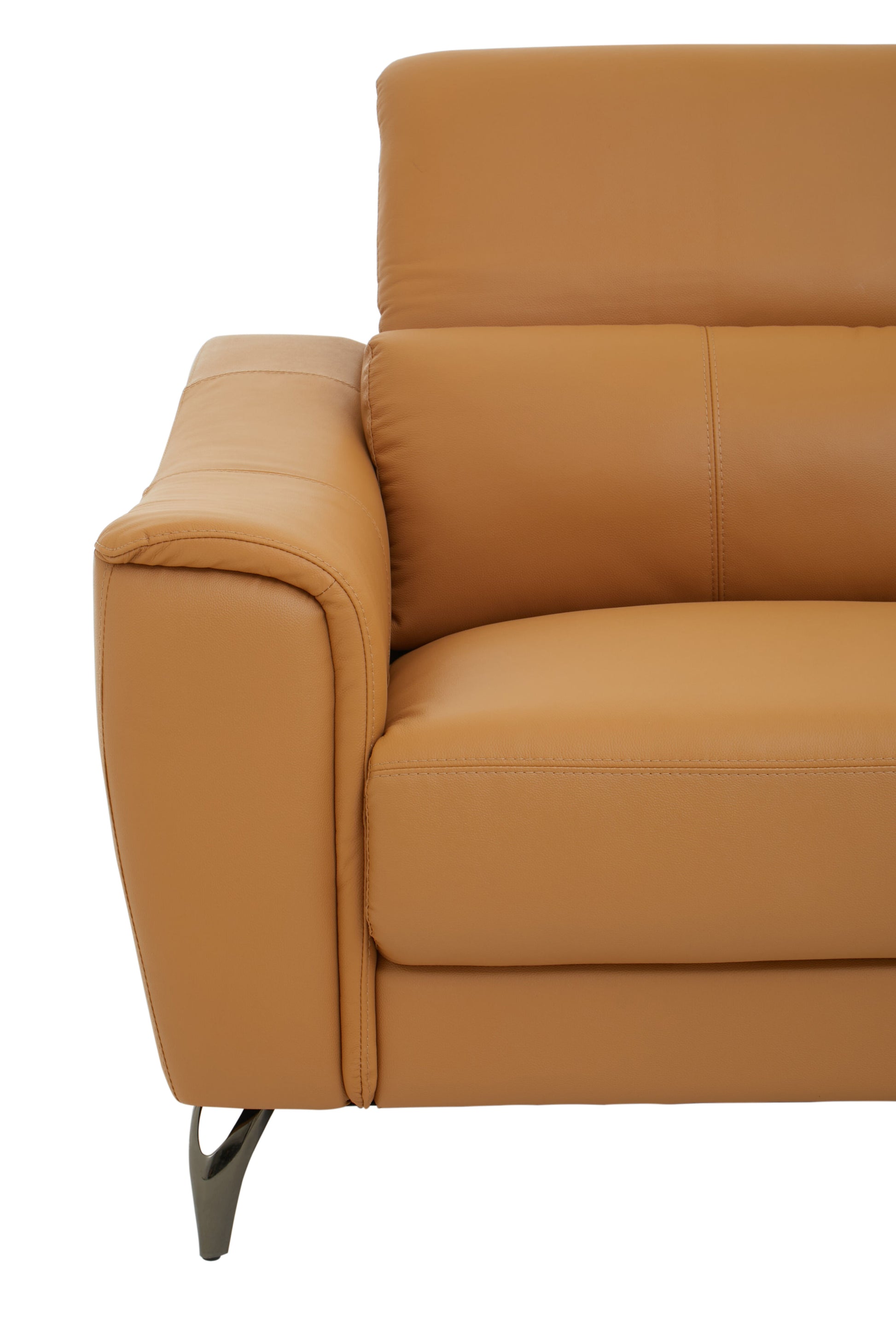 Padua 2 Seat Leather Sofa - NIXO Furniture.com